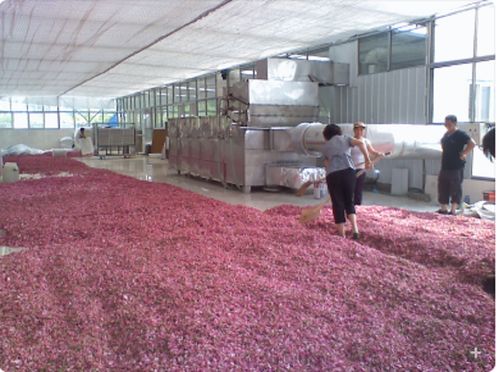 山東組合式冷凝液回收烘干設備報價